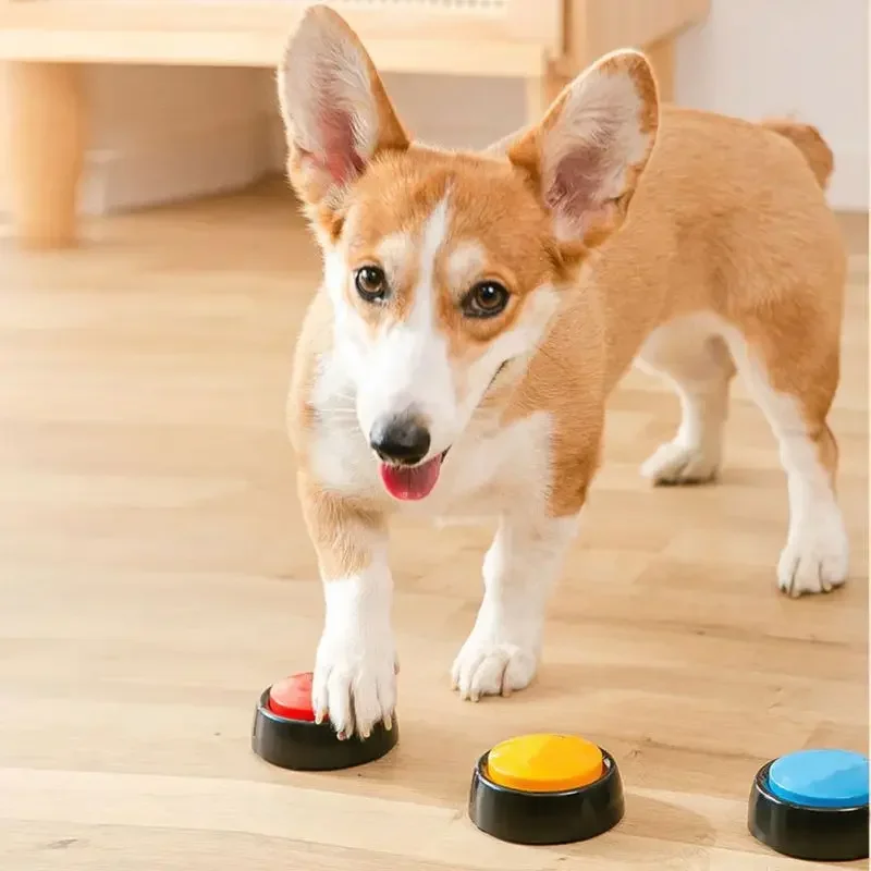 Pet Sound Box Beschreibbare Re – Interactive Squeaky Plush Dog Toy Bewertung und Preis