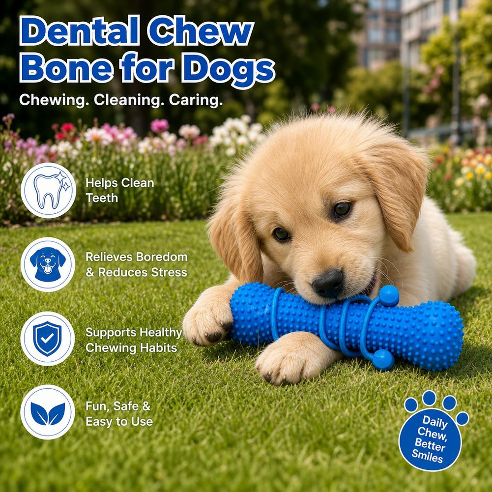 Hundezahnungs-Zahnputzstift, P – Teeth Cleaning Dog Chew Bone Bewertung und Preis