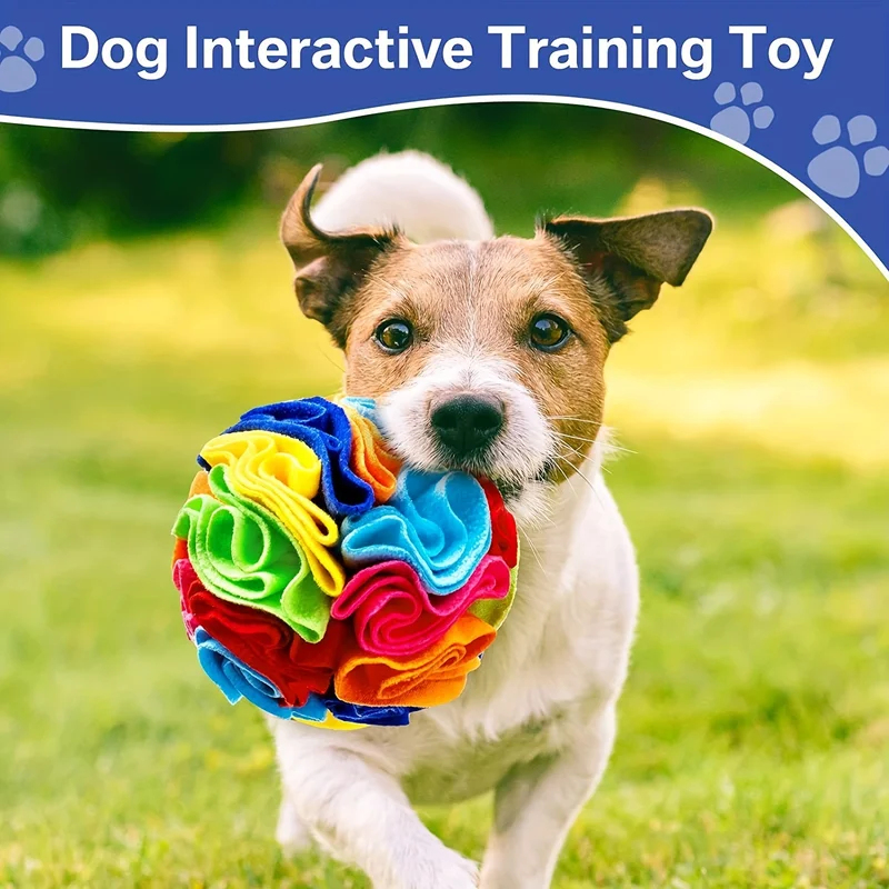 Interaktives Hundespielzeug Sc – Indestructible Dog Chew Toy Bewertung und Preis