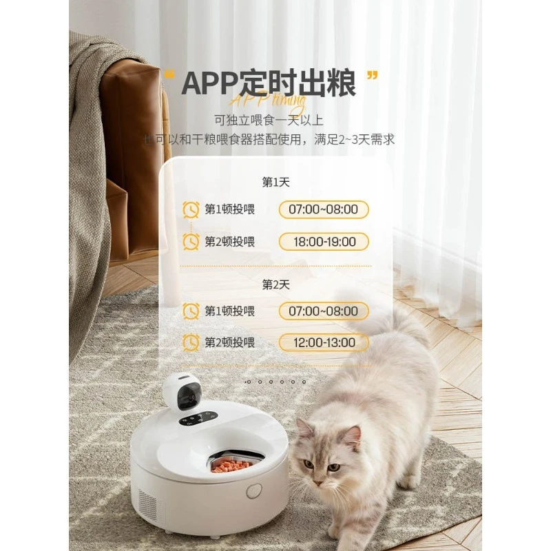 Intelligenter Automatischer Ka – Pet Feeders Bewertung und Preis