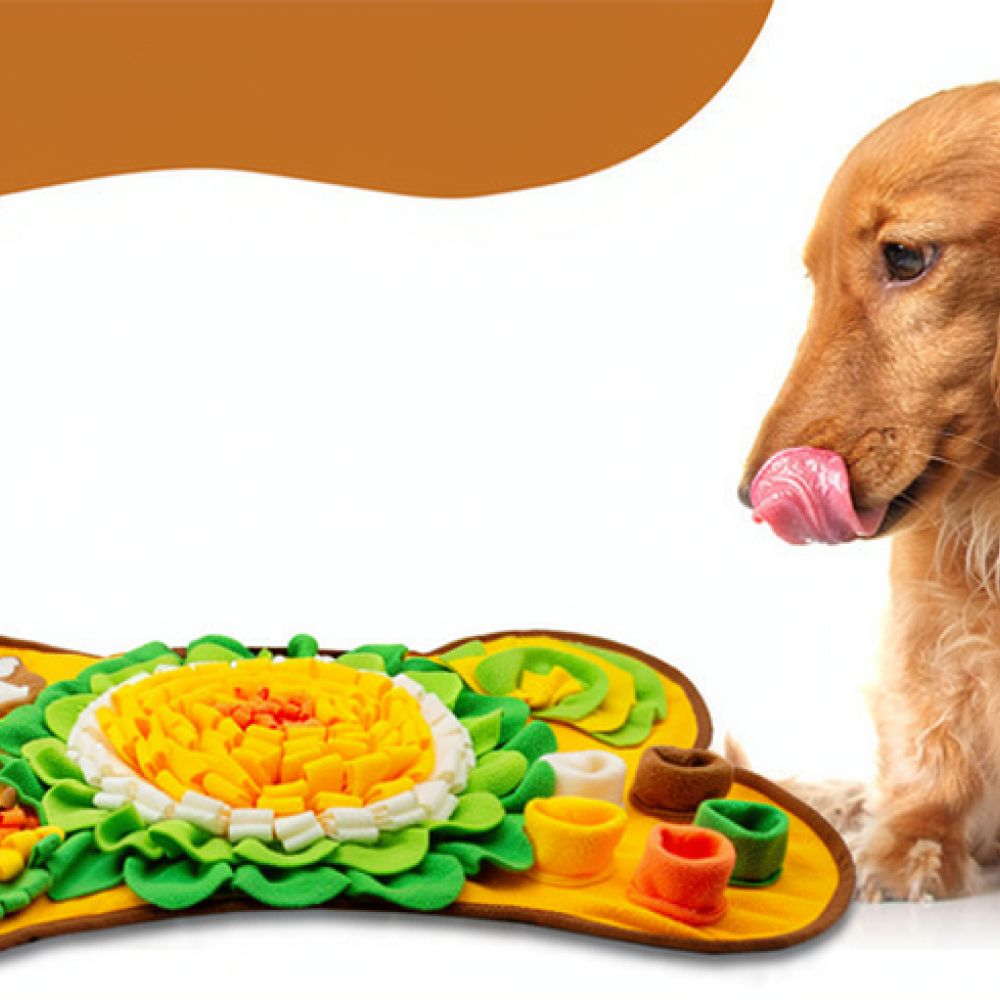 Hundeschnüffelmatte mit Knoche – Dog Puzzle Feeder Toy Bewertung und Preis