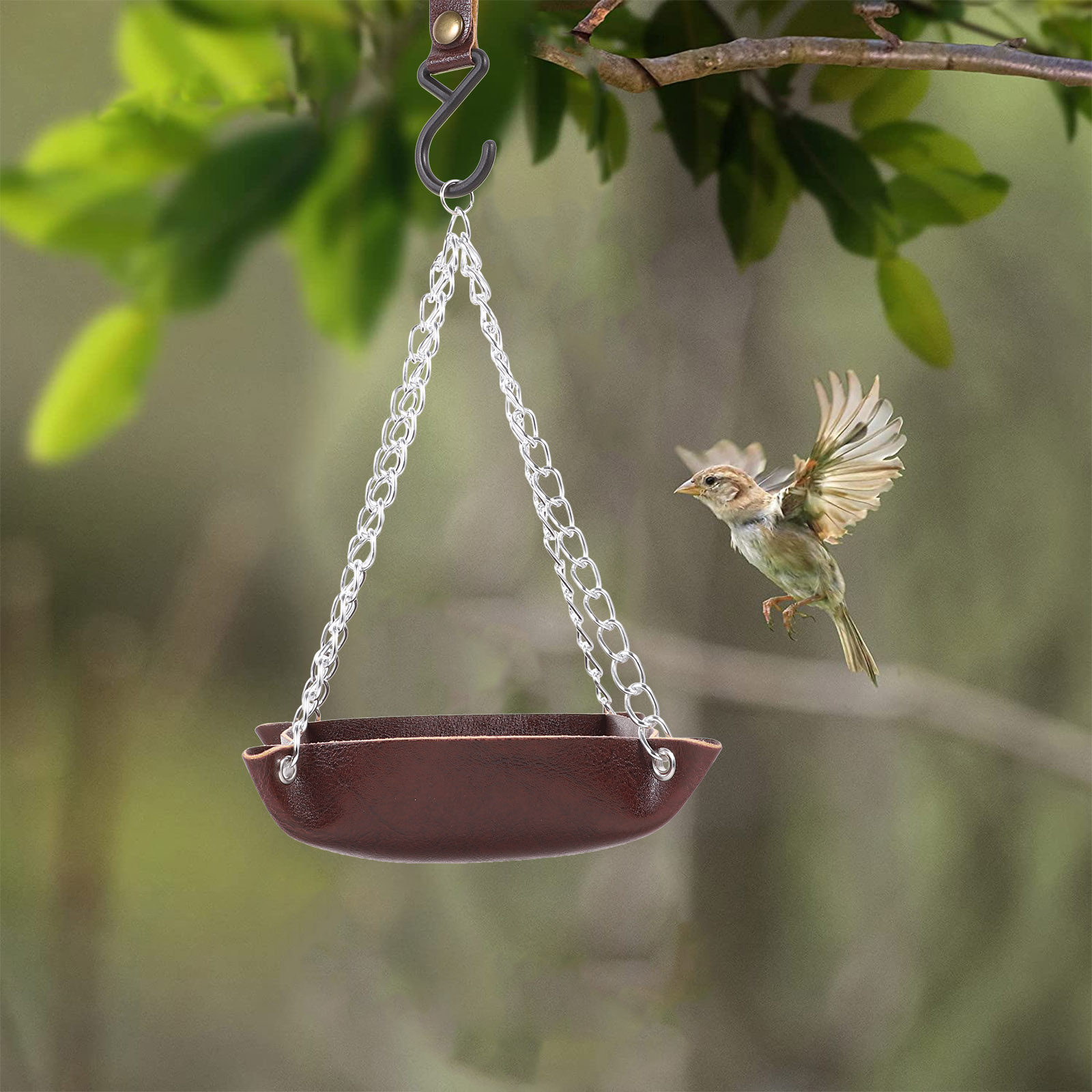 Transparenter, langlebiger Vog – Pet Feeders Bewertung und Preis