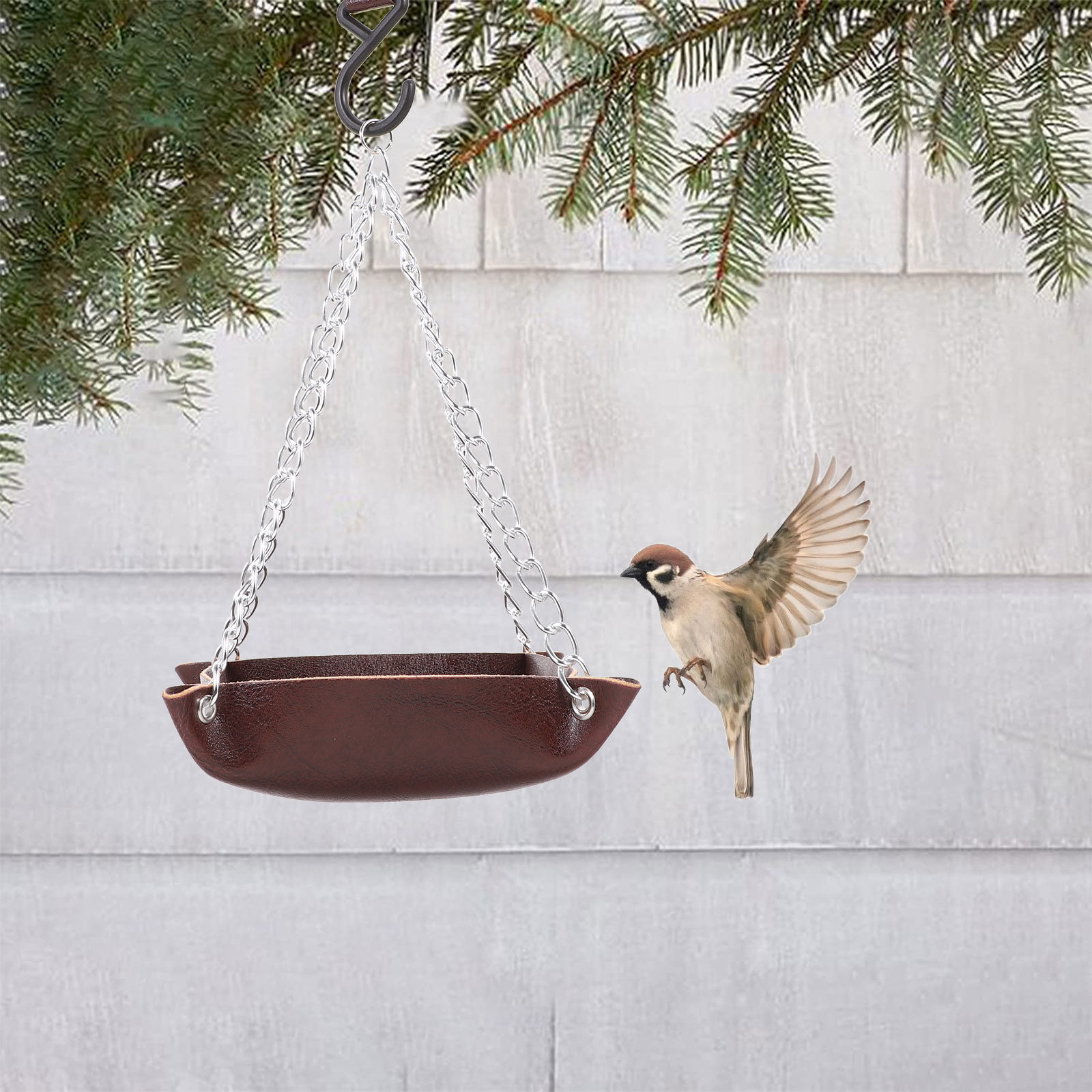 Transparenter, langlebiger Vog – Pet Feeders Bewertung und Preis