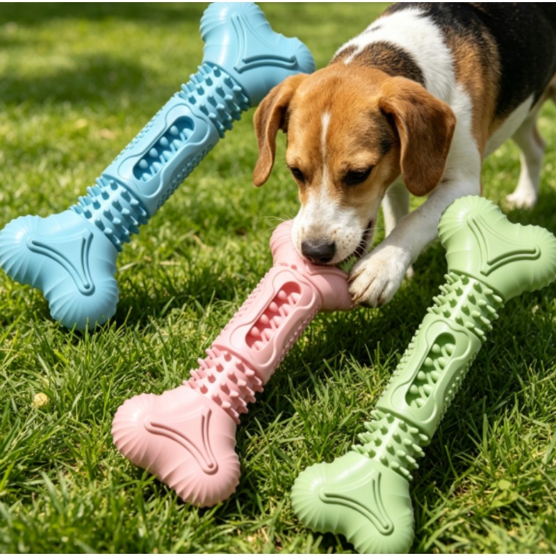 Neues, langlebiges Haustier-Ka – Teeth Cleaning Dog Chew Bone Bewertung und Preis